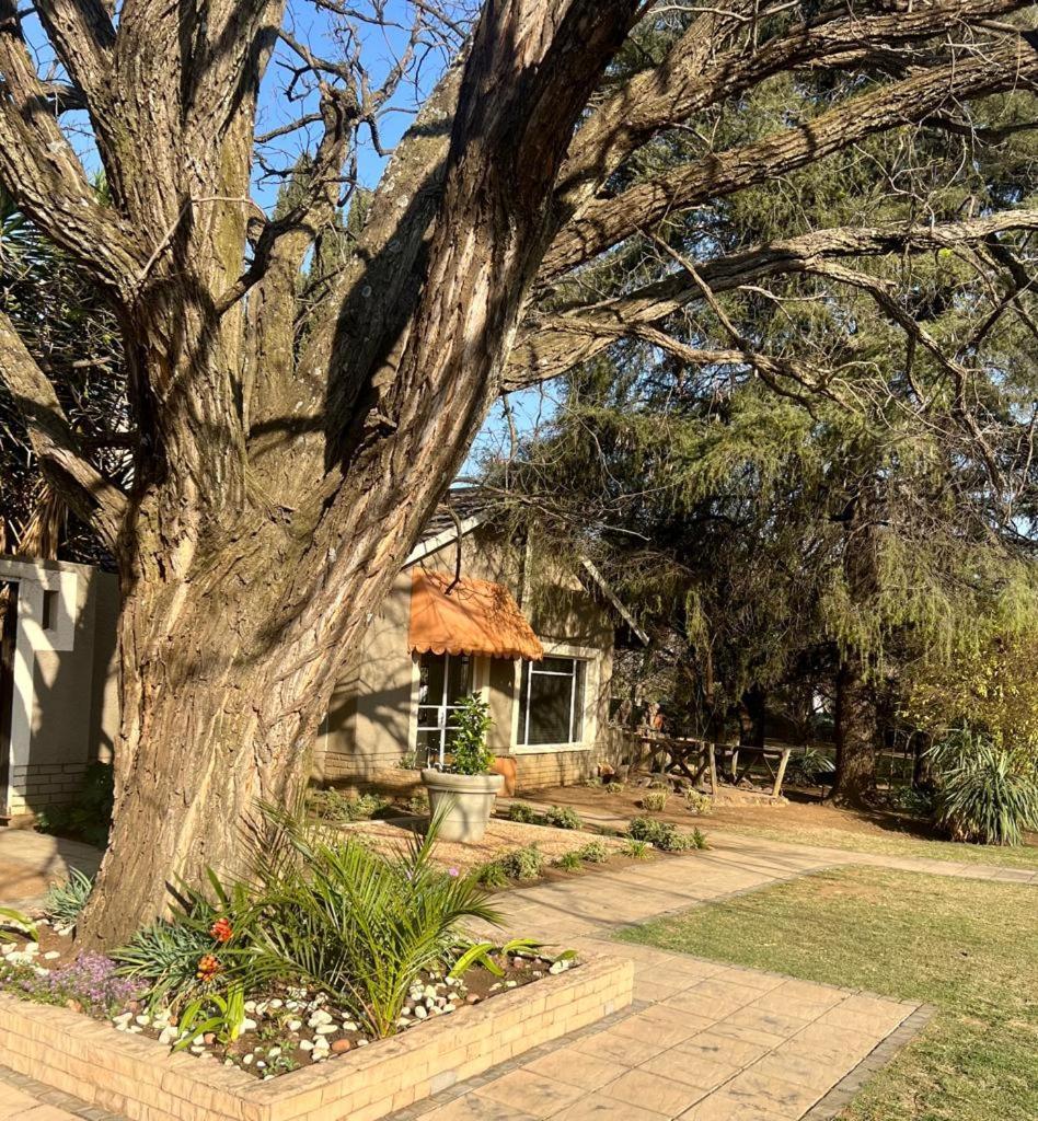 Silken Trap Accommodation No Loadshedding Joanesburgo Exterior foto